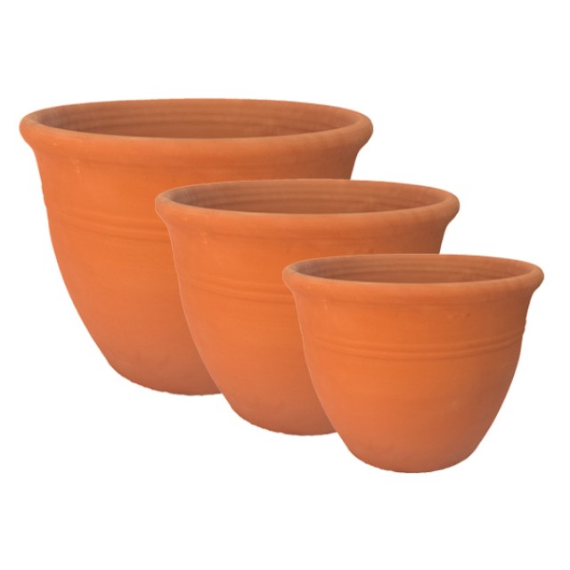 VASO ARECA